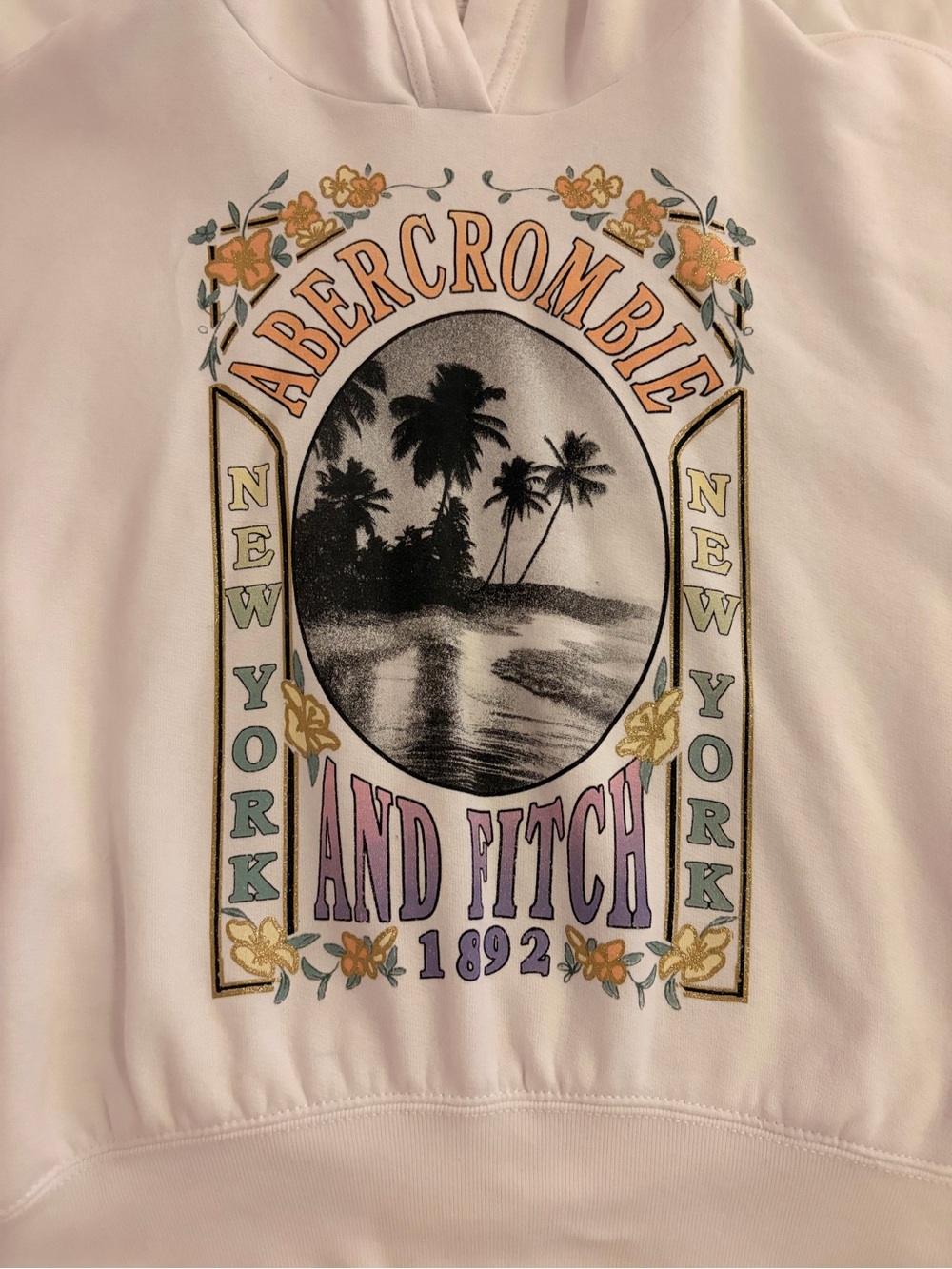 abercrombie kids light pink graphic hoodie with peach accents